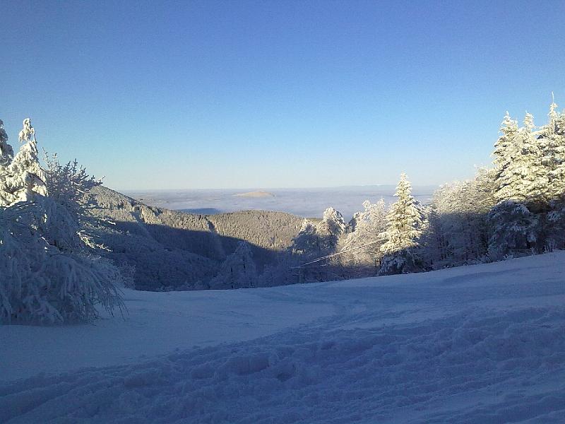 29122010128.jpg