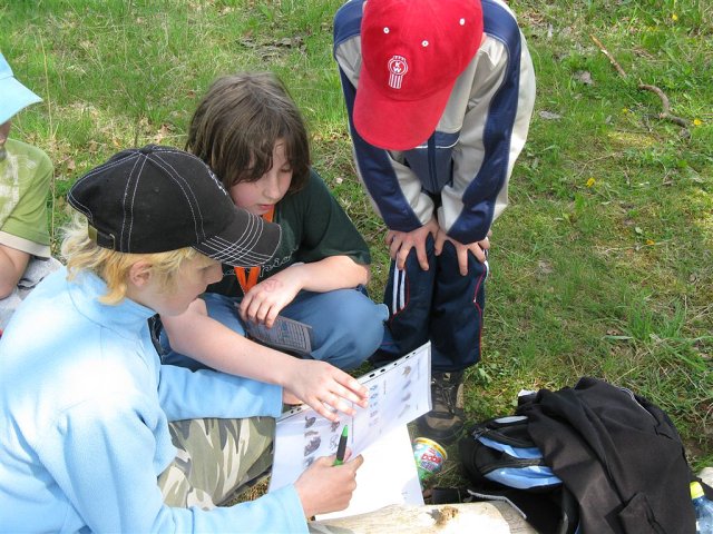 img00005.jpg