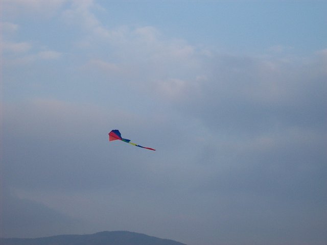 img00007.jpg