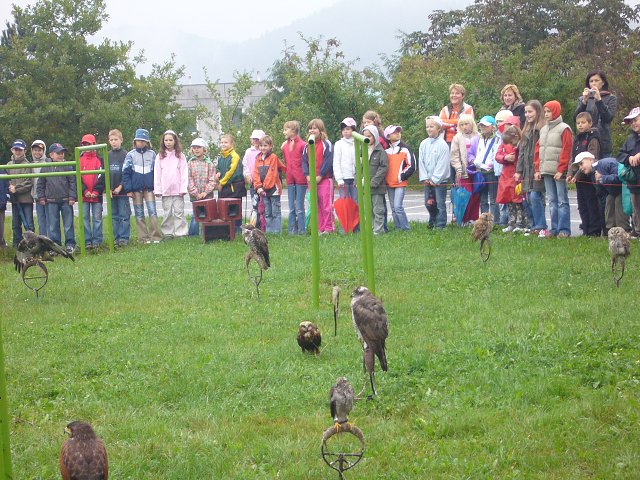 img00001.jpg