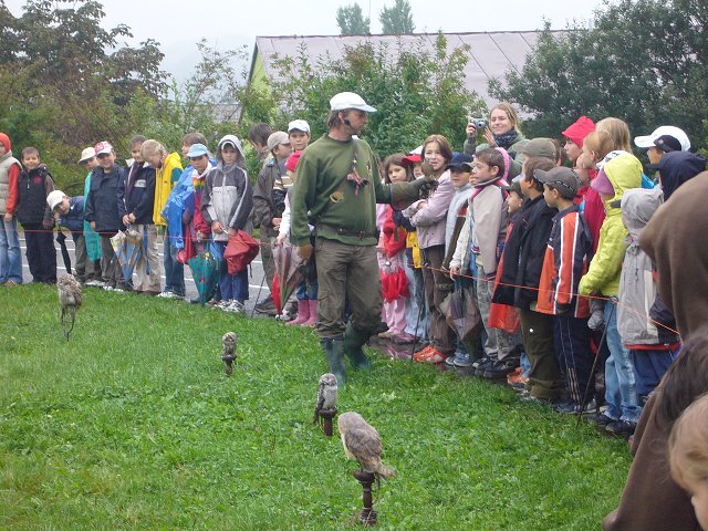 img00002.jpg