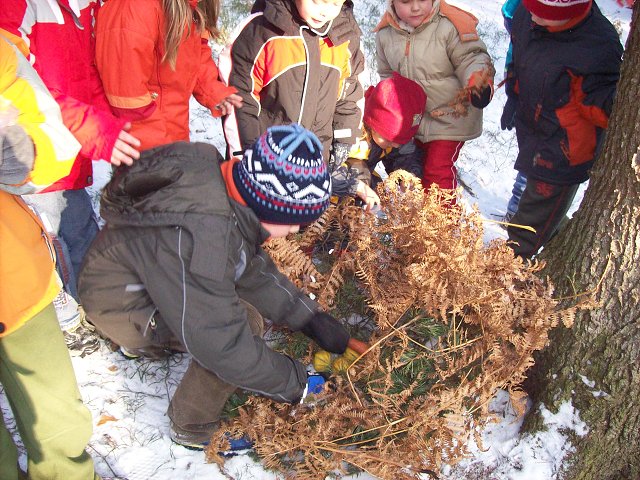 img00005.jpg