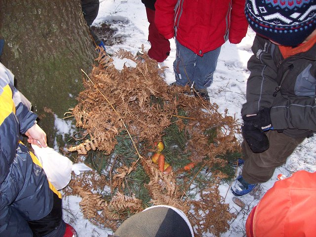 img00006.jpg