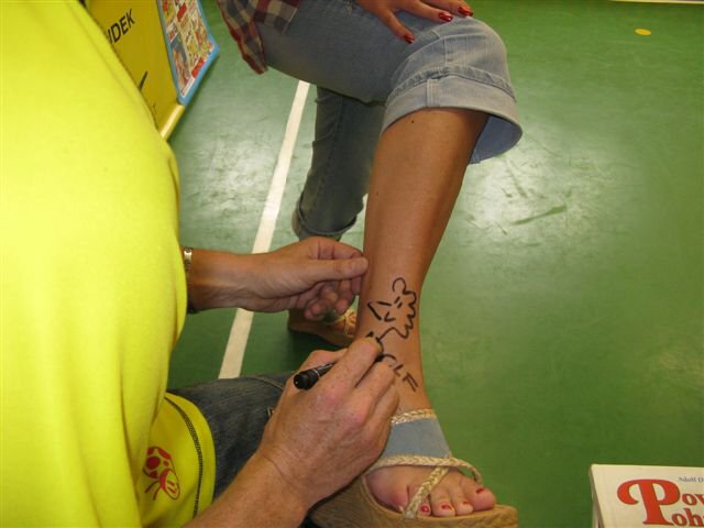 img00013.jpg