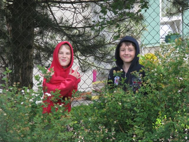 img00006.jpg