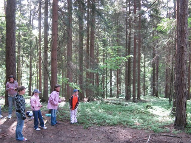 img00002.jpg
