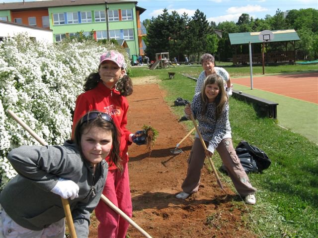 img00008.jpg