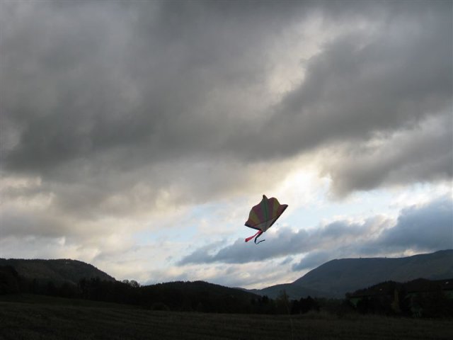 img00002.jpg