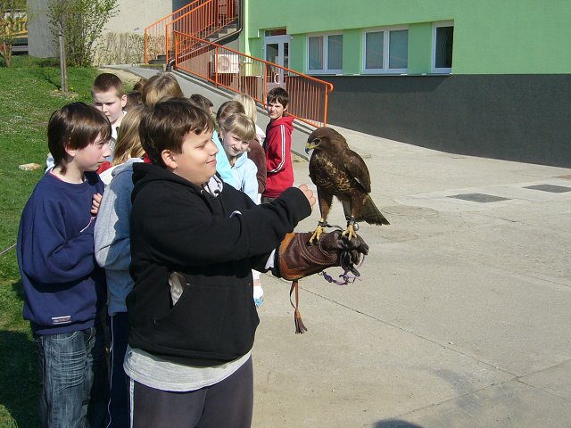img00002.jpg