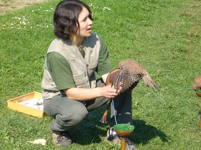 img00003.jpg