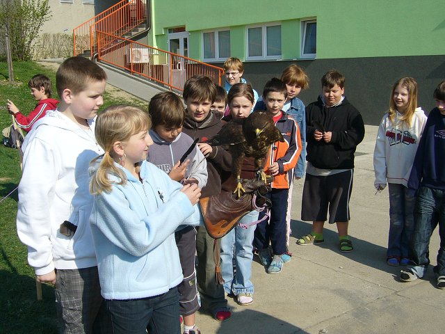 img00004.jpg