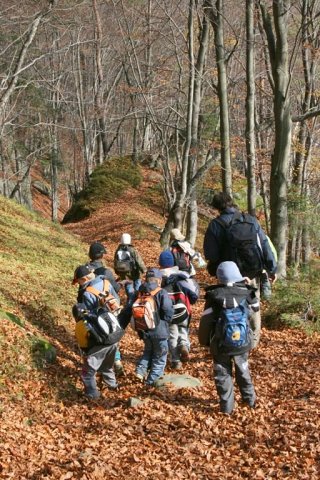 img00001.jpg