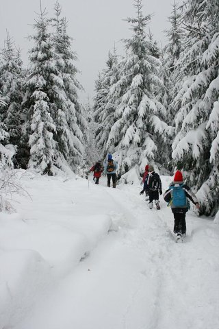 img00005.jpg
