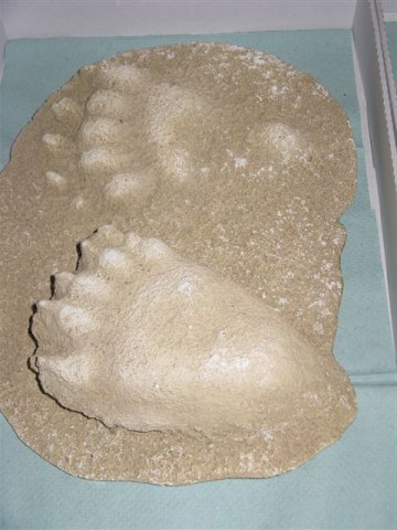 img00004.jpg