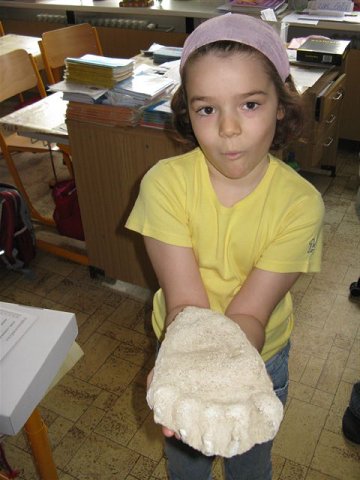 img00006.jpg
