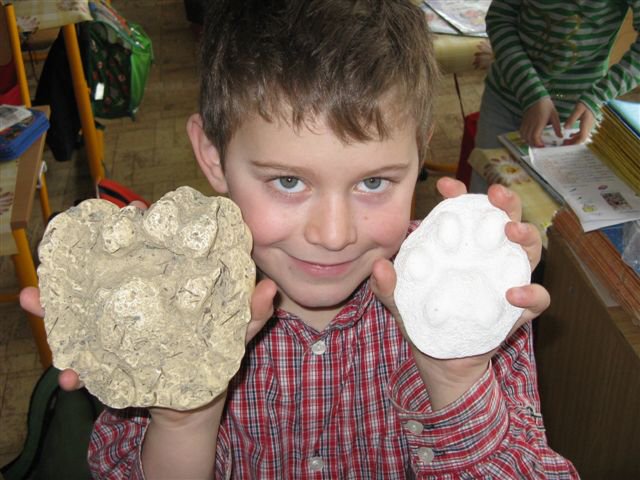 img00007.jpg