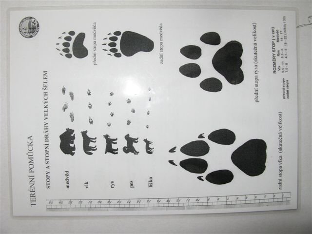 img00008.jpg