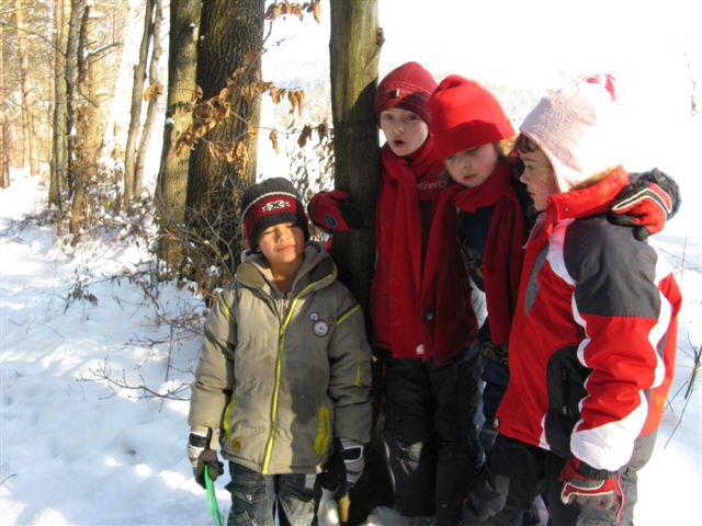 img00002.jpg