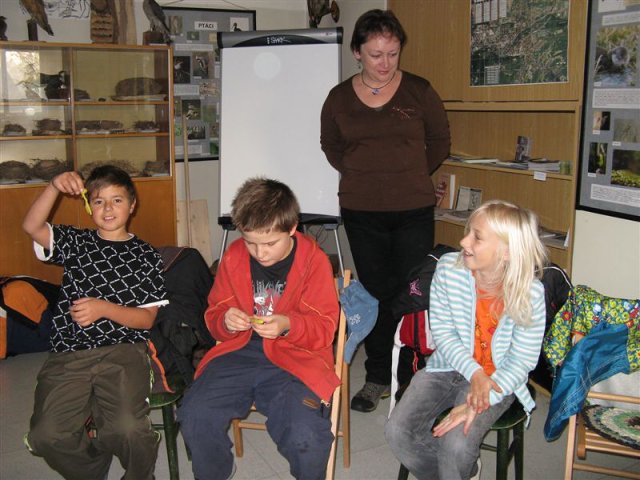 img00006.jpg