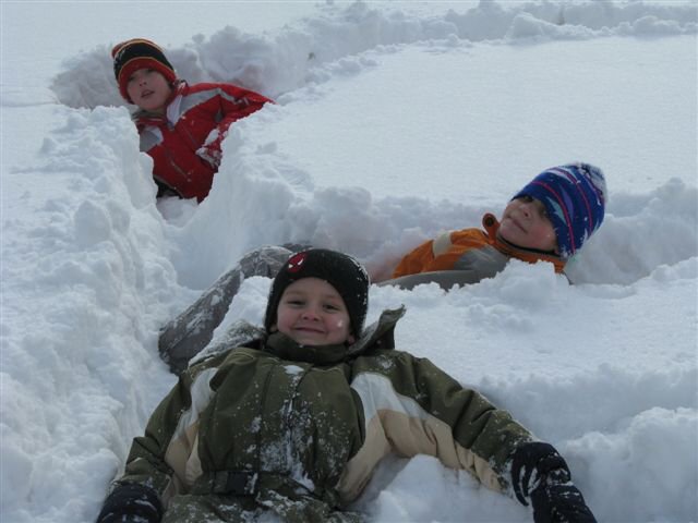 img00005.jpg